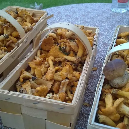 Villa Pool, Pokale, Sauna, Billard, Kirche U. Viel