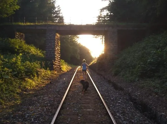 Pool, Pokale, Sauna, Billard, Kirche U. Viel Holiday home *