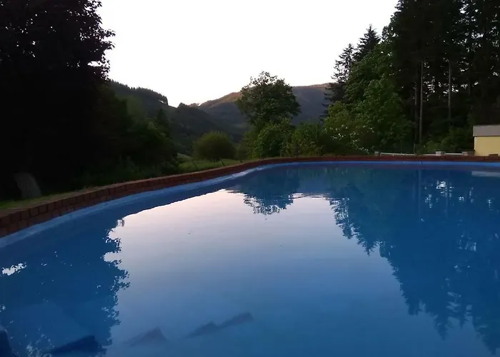 Pool, Pokale, Sauna, Billard, Kirche U. Viel *