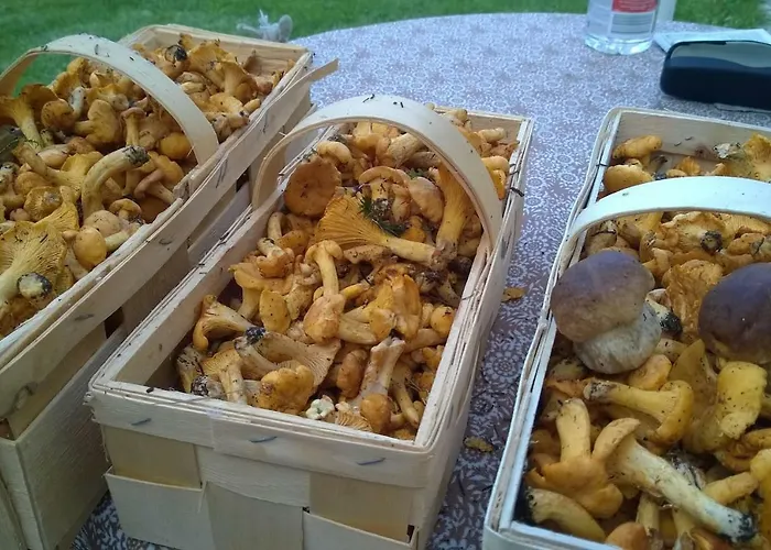 Ferienhaus Pool, Pokale, Sauna, Billard, Kirche U. Viel